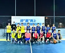 为什么co含有反馈π键